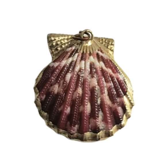 Seashell Pendant with Gold Edging. No Chain - Picture 1 of 7